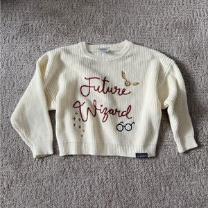 Modern Moments Harry Potter 3T Future Wizard Sweater Cream Knit